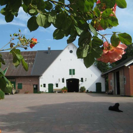 Wrede-Hof Lägenhet Cappeler Niederstrich Exteriör bild