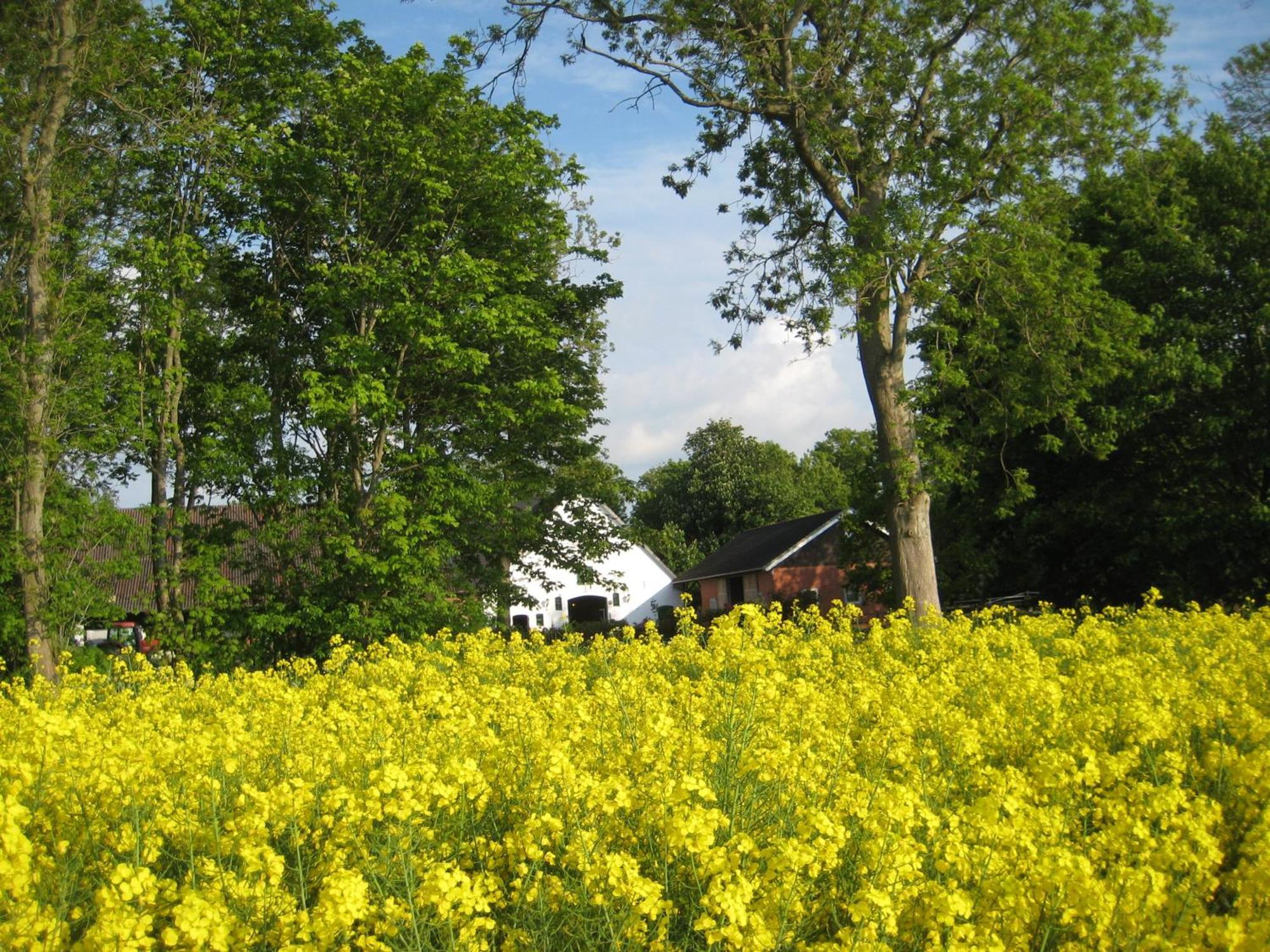 Wrede-Hof Lägenhet Cappeler Niederstrich Exteriör bild