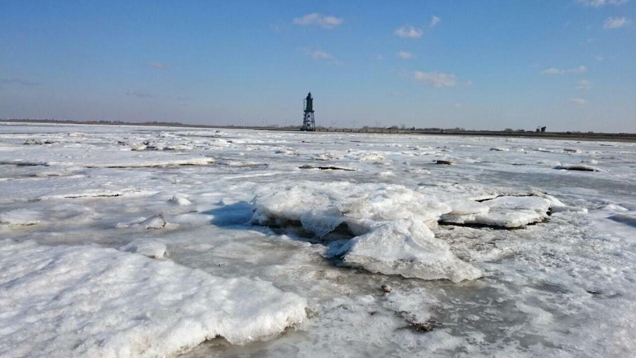 Wrede-Hof Lägenhet Cappeler Niederstrich Exteriör bild