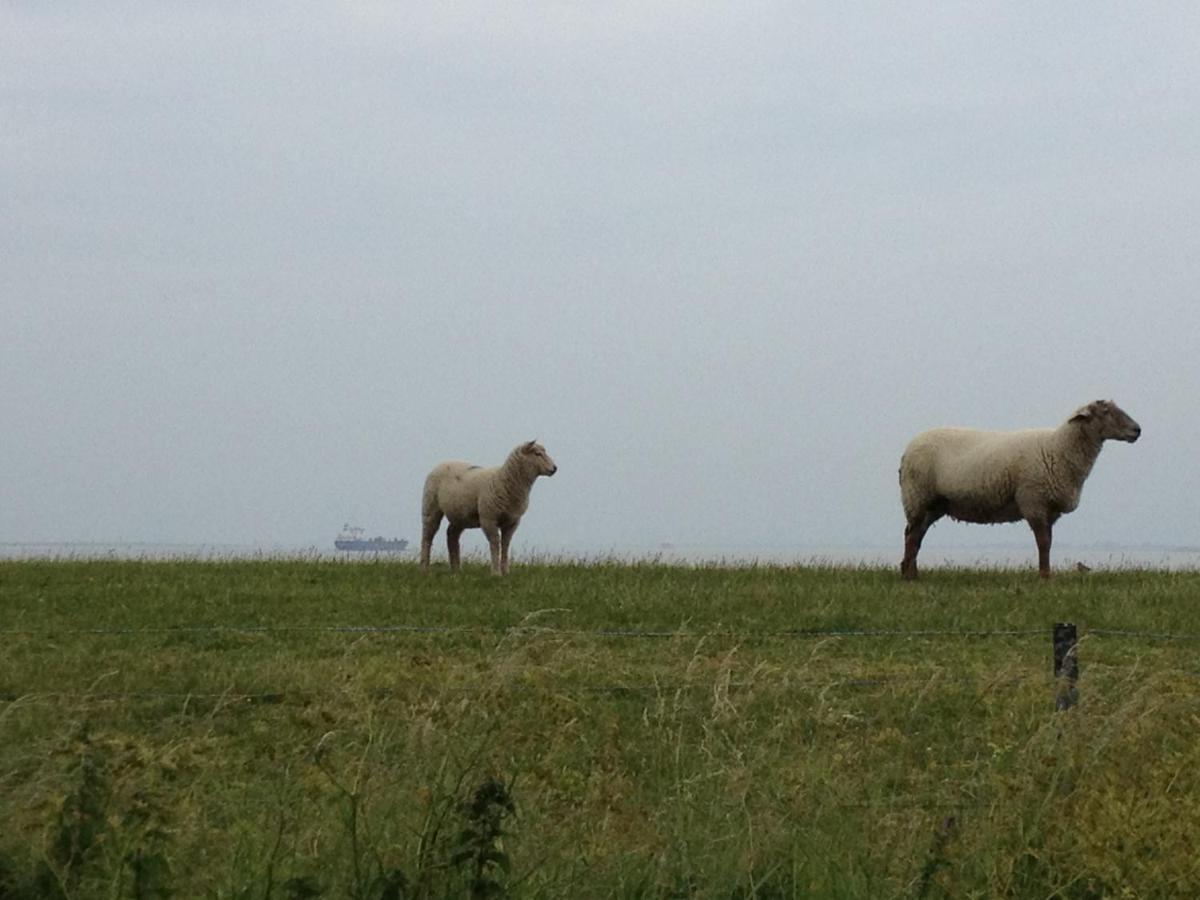 Wrede-Hof Lägenhet Cappeler Niederstrich Exteriör bild